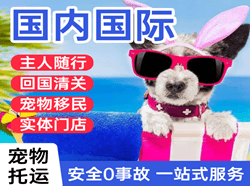 西安航空货运国际宠物托运 【国